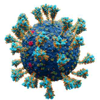 Impact of the COVID-19 pandemic on sports